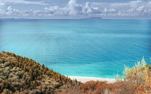 Forest by the sea  from Chrome web store to be run with OffiDocs Chromium online