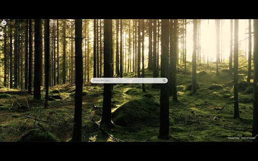 Forest New Tab  from Chrome web store to be run with OffiDocs Chromium online