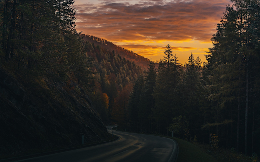 Forest Road at Dusk  from Chrome web store to be run with OffiDocs Chromium online