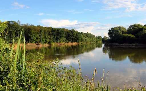 forests and lakes  from Chrome web store to be run with OffiDocs Chromium online