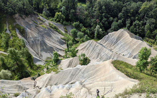 Forests and rocky mountains  from Chrome web store to be run with OffiDocs Chromium online