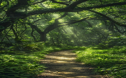 Forest trail wallpaper  from Chrome web store to be run with OffiDocs Chromium online