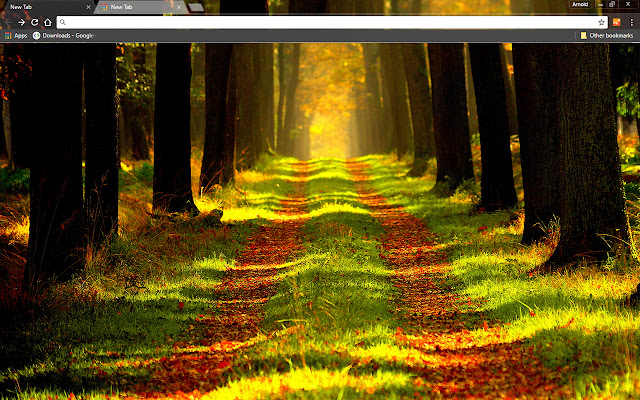 Forest Way  from Chrome web store to be run with OffiDocs Chromium online