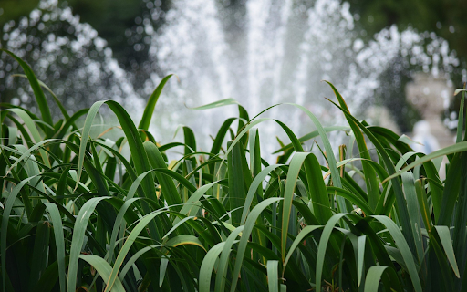 Fountain among the trees  from Chrome web store to be run with OffiDocs Chromium online