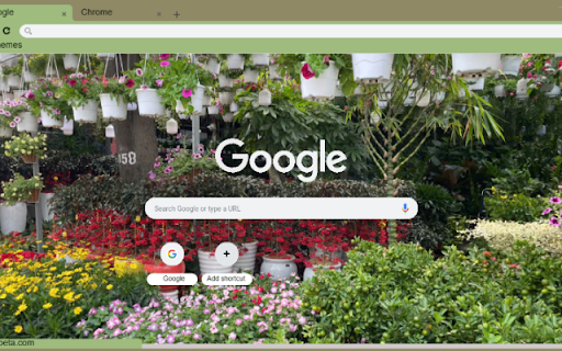 Foxface  from Chrome web store to be run with OffiDocs Chromium online
