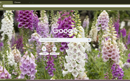 Foxglove  from Chrome web store to be run with OffiDocs Chromium online