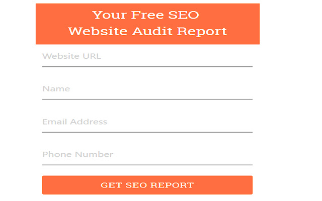 Free SEO Website Audit Tool  from Chrome web store to be run with OffiDocs Chromium online
