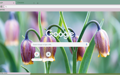 Fritillaria  from Chrome web store to be run with OffiDocs Chromium online