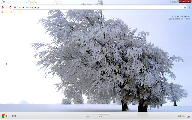 Frost White Winter  from Chrome web store to be run with OffiDocs Chromium online