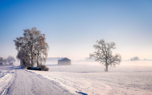 Frosty Morning Silence  from Chrome web store to be run with OffiDocs Chromium online