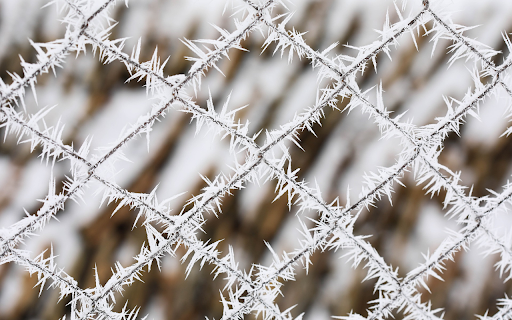 Frozen Fence  from Chrome web store to be run with OffiDocs Chromium online