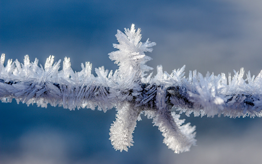 Frozen steel wire  from Chrome web store to be run with OffiDocs Chromium online