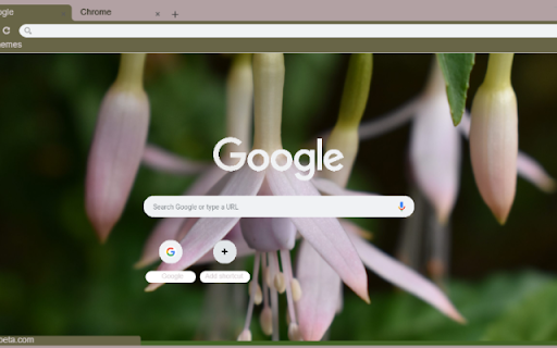 Fuchsia Magellanica  from Chrome web store to be run with OffiDocs Chromium online
