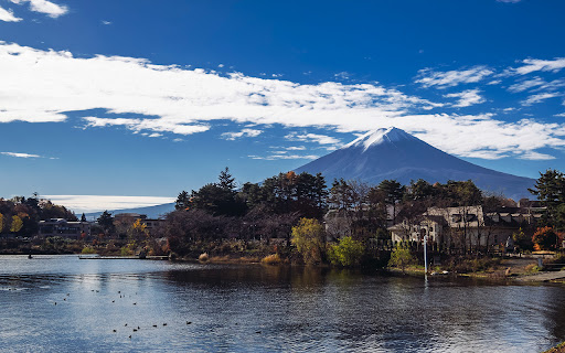 fuji mountain autumn  from Chrome web store to be run with OffiDocs Chromium online