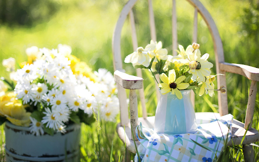Full basket of white chrysanthemums  from Chrome web store to be run with OffiDocs Chromium online
