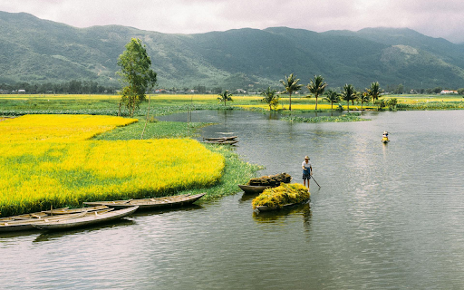 Full Rice Boat  from Chrome web store to be run with OffiDocs Chromium online