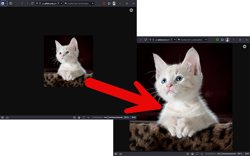 Fullsize Image  from Chrome web store to be run with OffiDocs Chromium online