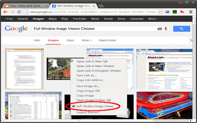 Full Window Image Viewer  from Chrome web store to be run with OffiDocs Chromium online