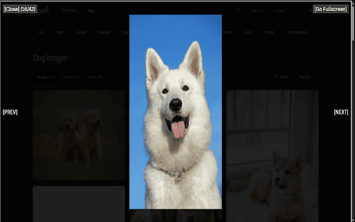 Gallerify  from Chrome web store to be run with OffiDocs Chromium online