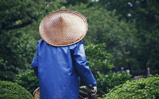 Garden caretaker  from Chrome web store to be run with OffiDocs Chromium online