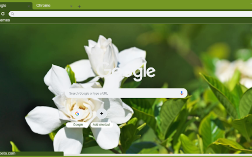 Gardenia  from Chrome web store to be run with OffiDocs Chromium online