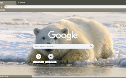 Gau Bac Cuc  from Chrome web store to be run with OffiDocs Chromium online