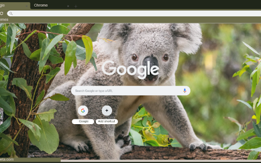 Gau Koala  from Chrome web store to be run with OffiDocs Chromium online