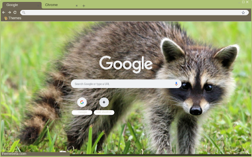 Gau Meo Raccoon  from Chrome web store to be run with OffiDocs Chromium online