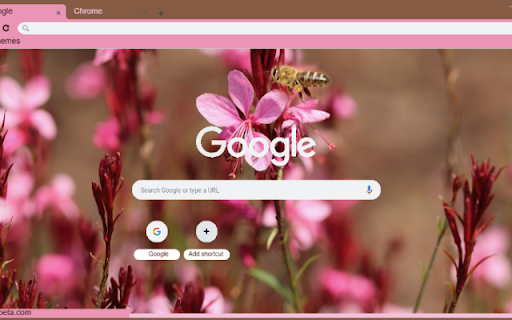 Gaura  from Chrome web store to be run with OffiDocs Chromium online