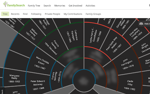 Genealogy Blurring Tool  from Chrome web store to be run with OffiDocs Chromium online
