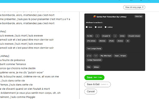 Genius Fast Transcriber (by Lnkhey)  from Chrome web store to be run with OffiDocs Chromium online
