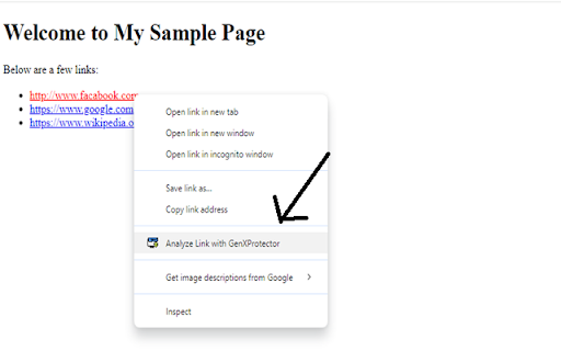 GenXProtector  from Chrome web store to be run with OffiDocs Chromium online