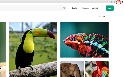 Get Page Images  from Chrome web store to be run with OffiDocs Chromium online