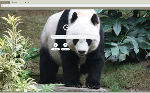 Giant Panda  from Chrome web store to be run with OffiDocs Chromium online
