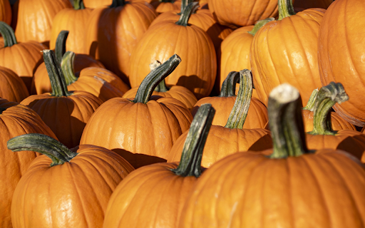 Giant pumpkin  from Chrome web store to be run with OffiDocs Chromium online