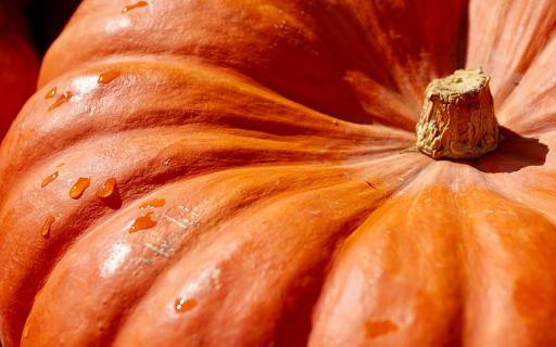Giant squash  from Chrome web store to be run with OffiDocs Chromium online