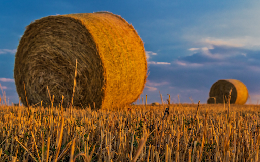 Giant straw roll  from Chrome web store to be run with OffiDocs Chromium online