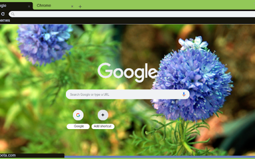Gilia  from Chrome web store to be run with OffiDocs Chromium online