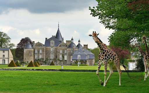 Giraffes in the Park  from Chrome web store to be run with OffiDocs Chromium online