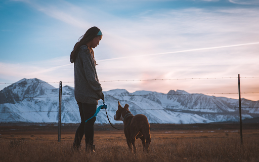 Girl and dog walking  from Chrome web store to be run with OffiDocs Chromium online