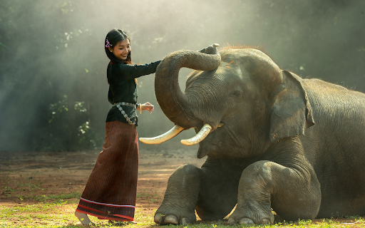 Girl and elephant  from Chrome web store to be run with OffiDocs Chromium online
