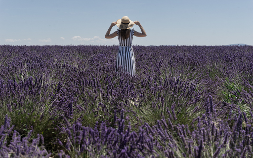 Girl and flower field  from Chrome web store to be run with OffiDocs Chromium online