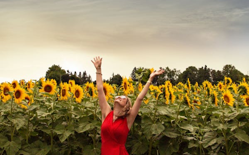 Girl in sunflower field  from Chrome web store to be run with OffiDocs Chromium online