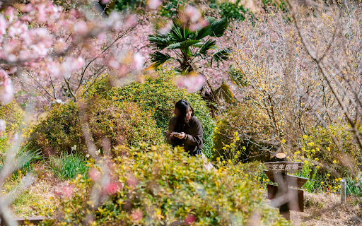 Girl in the Spring Garden  from Chrome web store to be run with OffiDocs Chromium online