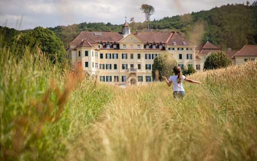 Girl on the lawn  from Chrome web store to be run with OffiDocs Chromium online