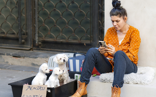 Girl with high bun hair and dogs  from Chrome web store to be run with OffiDocs Chromium online