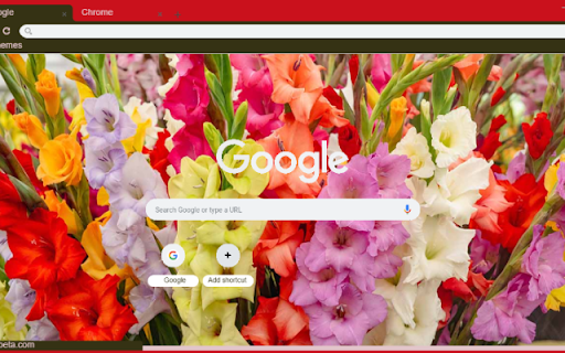Gladiolus  from Chrome web store to be run with OffiDocs Chromium online