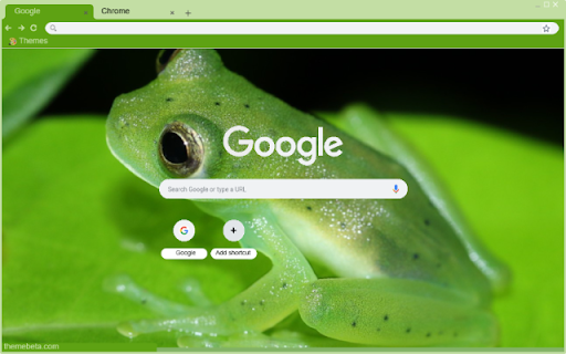 Glass Frog  from Chrome web store to be run with OffiDocs Chromium online