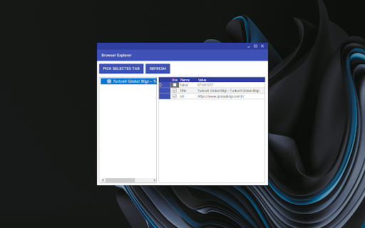 Global Bilgi RPA Web Automation Extension  from Chrome web store to be run with OffiDocs Chromium online