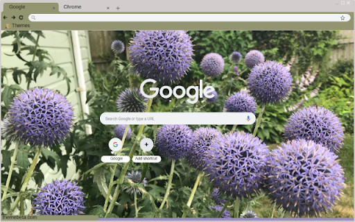 Globe Thistle  from Chrome web store to be run with OffiDocs Chromium online